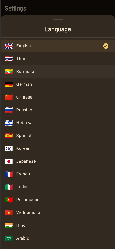Language switcher preview